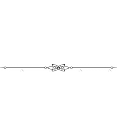 Exquisite floral border