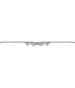  Universal Elegant