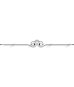  Elegant decorative