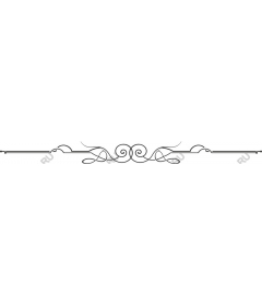Universal Elegant