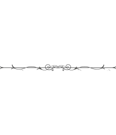 Elegant decorative border