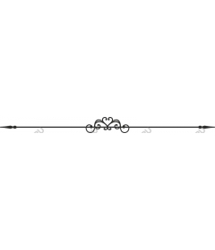  Elegant Ornament
