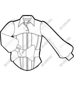  Stylish blouse with long sleeves