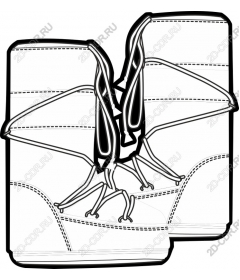 Dynamic sneakers