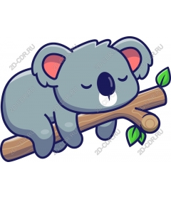Koala Bear