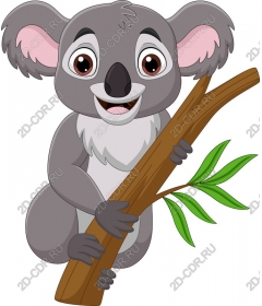  Adorable Koala bear