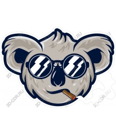 Relax, Koala