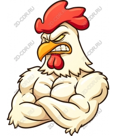  Beefy Cock