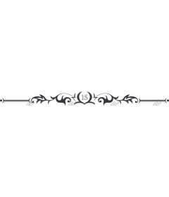  Elegant ornament