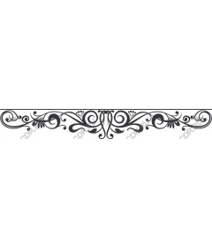 Intricate ornamental border
