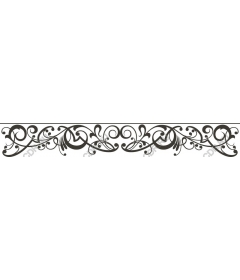  Elegant decorative border