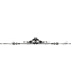  Elegant decorative border