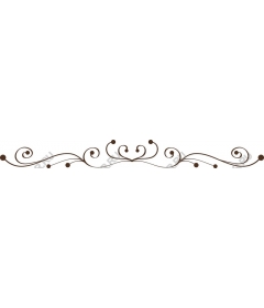  Elegant floral swirl pattern