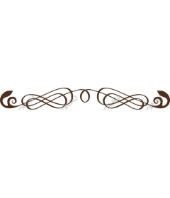  Elegant decorative flourish