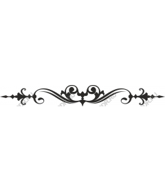 Exquisite Scroll Elegant