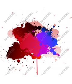  Bright splash of paint