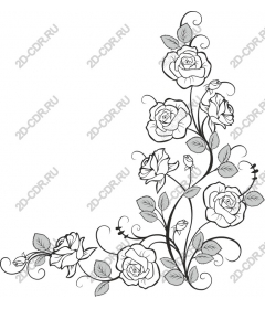  Elegant pink floral