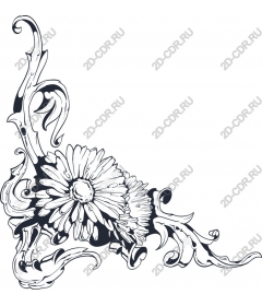  Elegant floral Daisy
