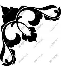  Elegant decorative area in black and white
