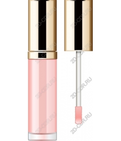  A luxurious lip gloss