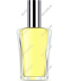  Elegant perfume bottle