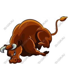 Playful brown bull