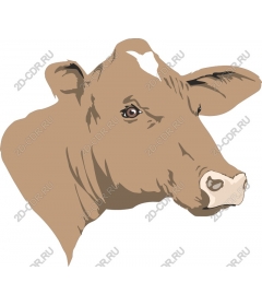  Charming brown dairy cow