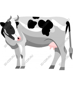  An adorable cow