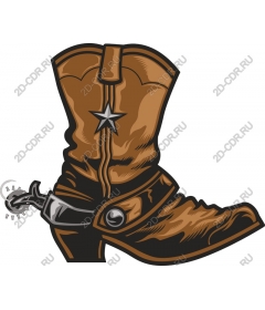 Cowboy boots in Western style
