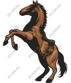 Rapidly rising horse