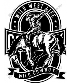  Cowboy Wild West