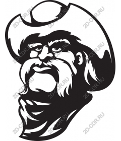 The adventures of cowboy