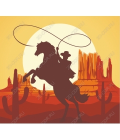  Cowboy Wild West