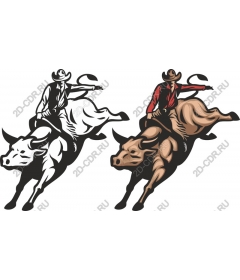  Cowboy riding a bull