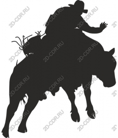  Cowboy riding a bull