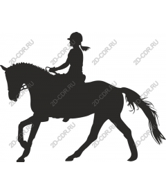  Elegant horse and rider