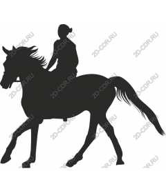Horse and rider