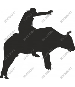  Cowboy riding a bull