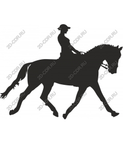 Horse rider