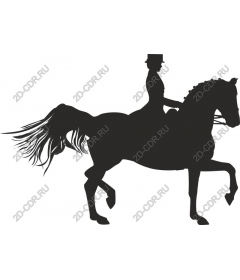  Elegance in motion: horse and rider
