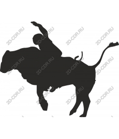 Rodeo Wild West