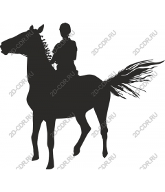 Horse riding