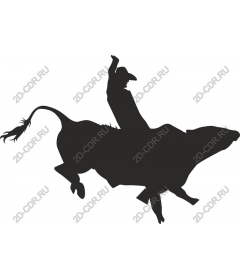  Cowboy riding bull