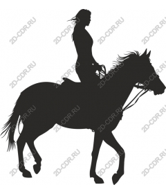  Elegant horse and rider