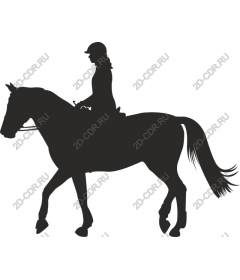  Elegant horse and rider