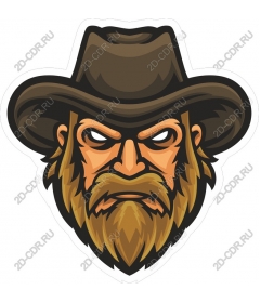 The character of a cowboy