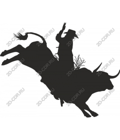  Cowboy on a bull