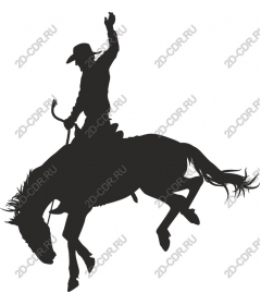  Cowboy riding Bronco