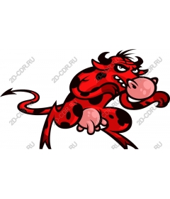 Playful red cow