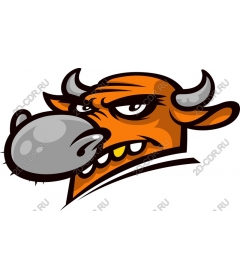  Angry Bull